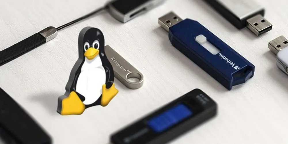 Usb apps. Портативный линукс для флешки. Linux USB. Portable Linux Computer. Handheld Linux Computers.