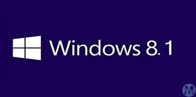 Windows 8.1 [2022]